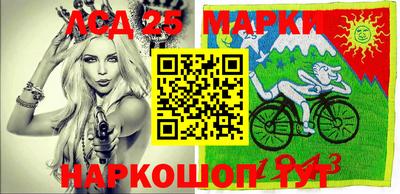 амф Кингисепп