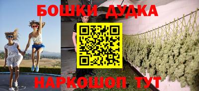 амф Кингисепп