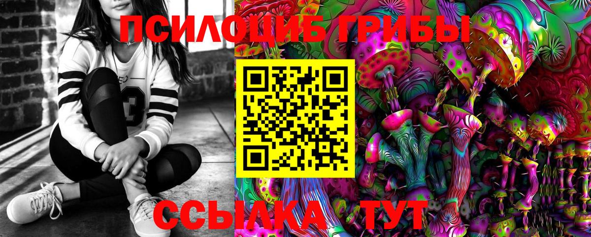 Зима  Галлюциногенные грибы Cubensis  Вход с VPN  Псилоцибиновые грибы прущие грибы 