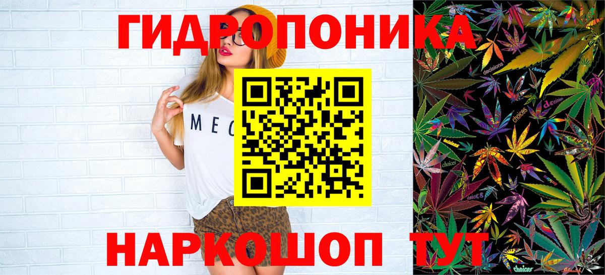 Шишки марихуана планчик Зима