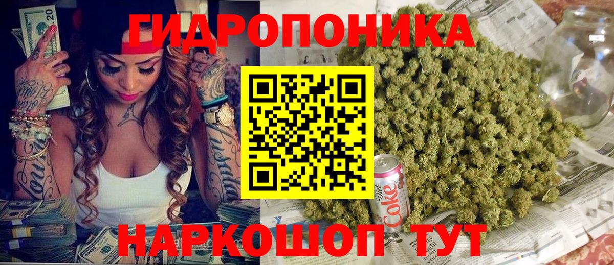 Зима  Шишки марихуана семена  Бошки марихуана тримм  Вход с VPN 